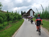 cyklisté u Bodensee